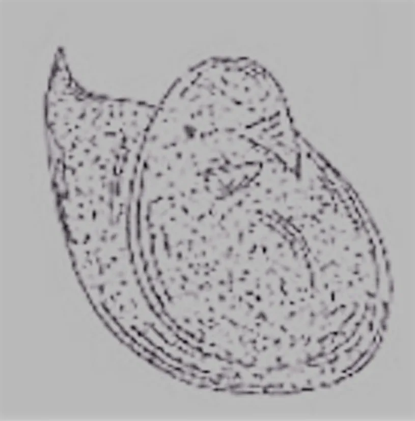 Acta 996846