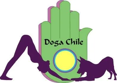 DOGA CHILE