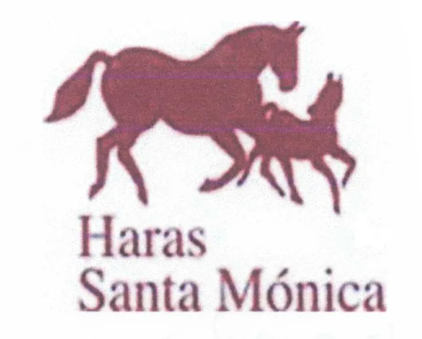 HARAS SANTA MONICA