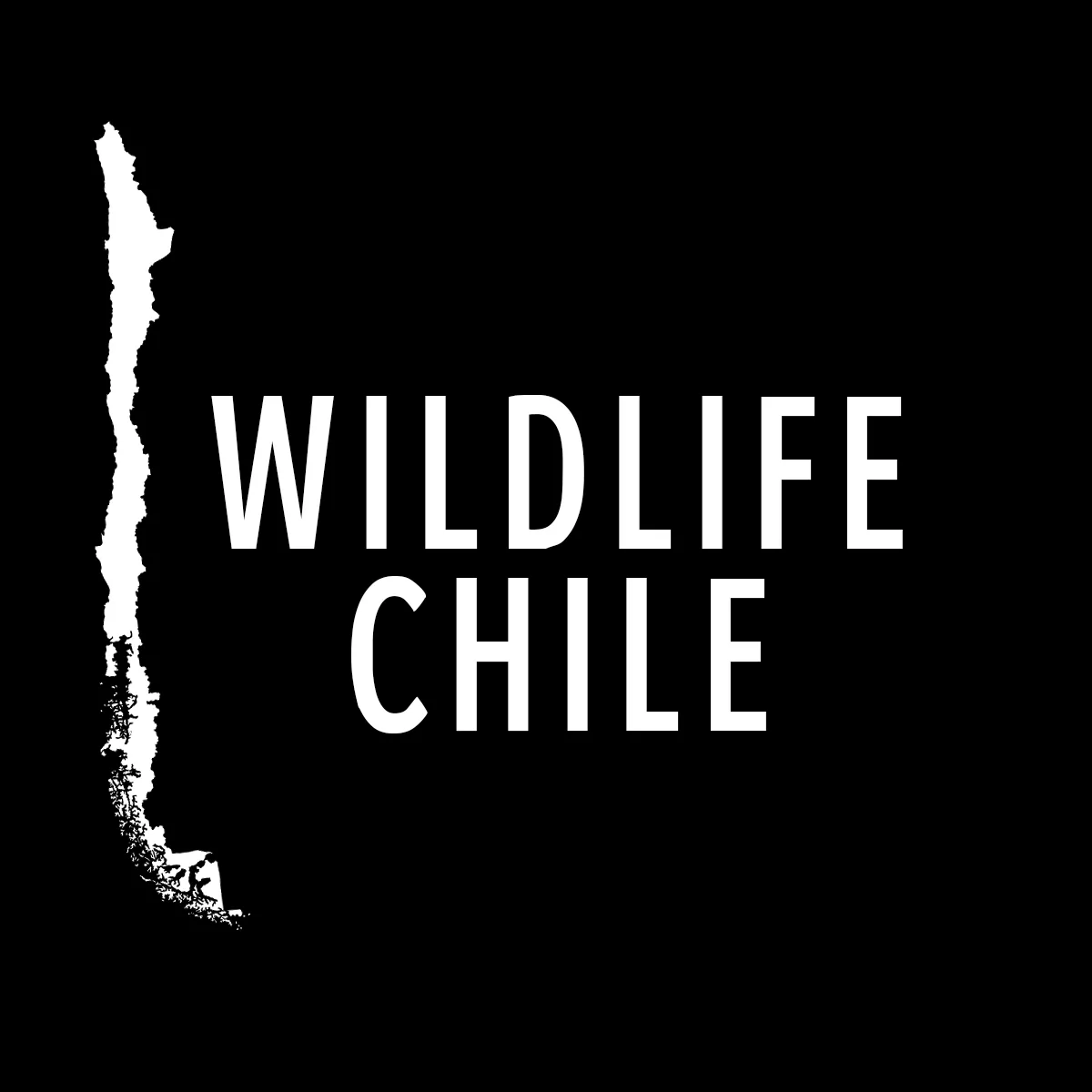 WILDLIFE CHILE