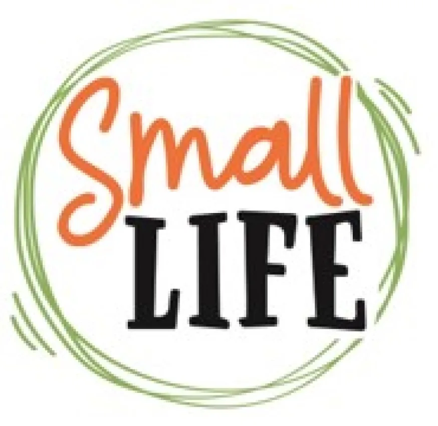 SMALL LIFE