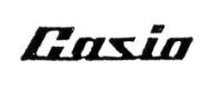 CASIO