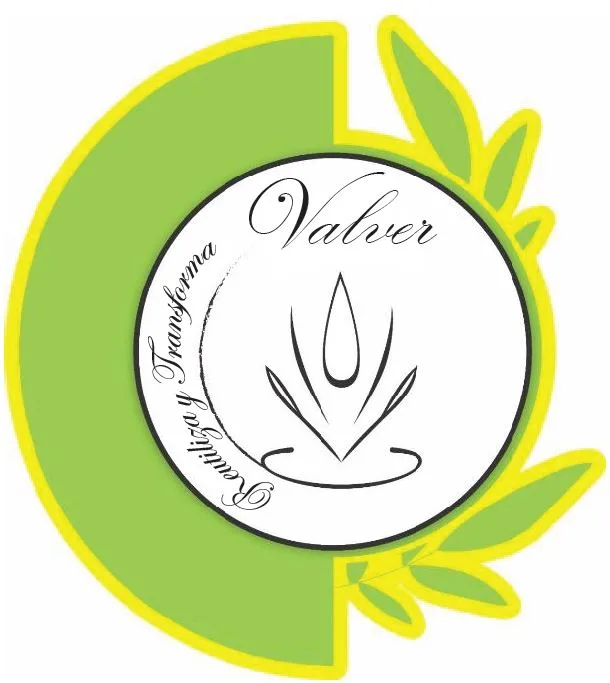 VALVER