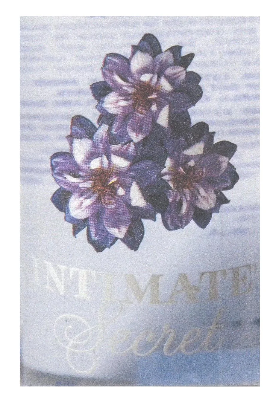 INTIMATE SECRET