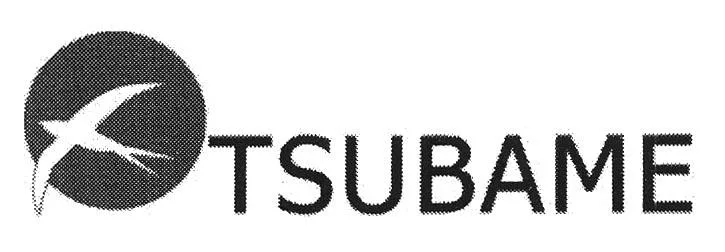 TSUBAME