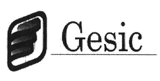 GESIC