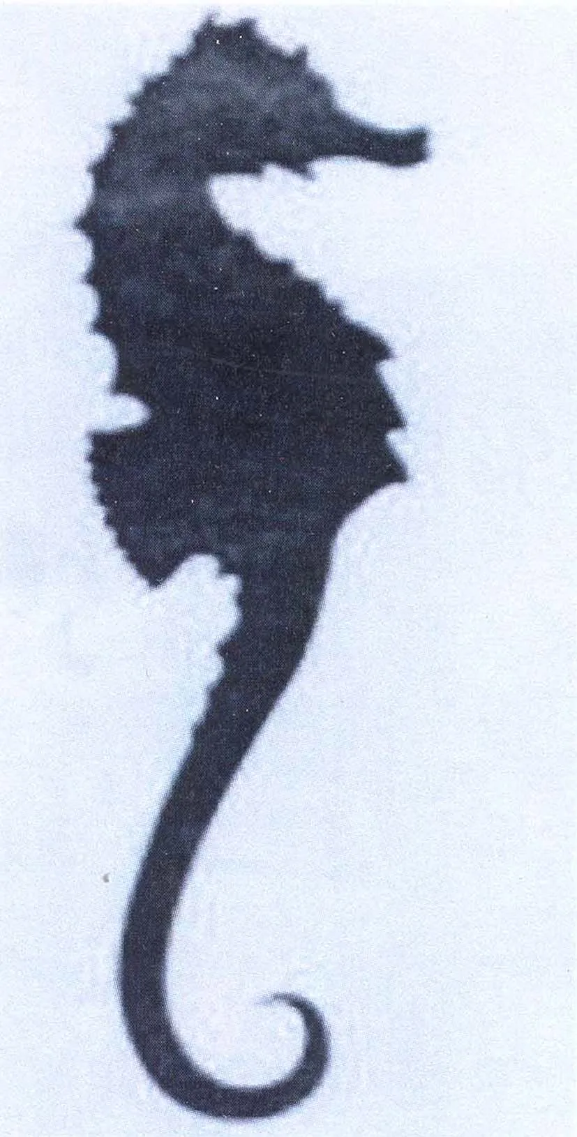 Acta 1096855