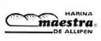 MAESTRA DE ALLIPEN