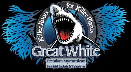 GREAT WHITE KILLER ROOTS FOR KILLER PLANTS PREMIUM MYCORRHIZAE BENEFICIAL BACTERIA & TRICHODERMA