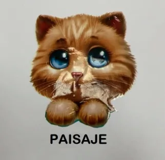PAISAJE