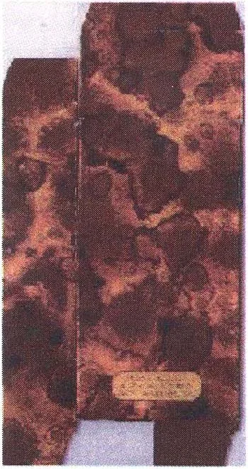 Acta 932857