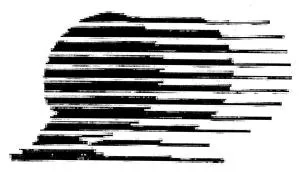 Acta 1258858