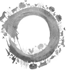 O