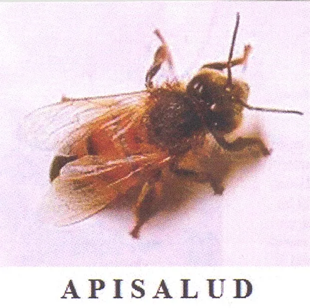 APISALUD