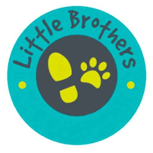 Little Brothers