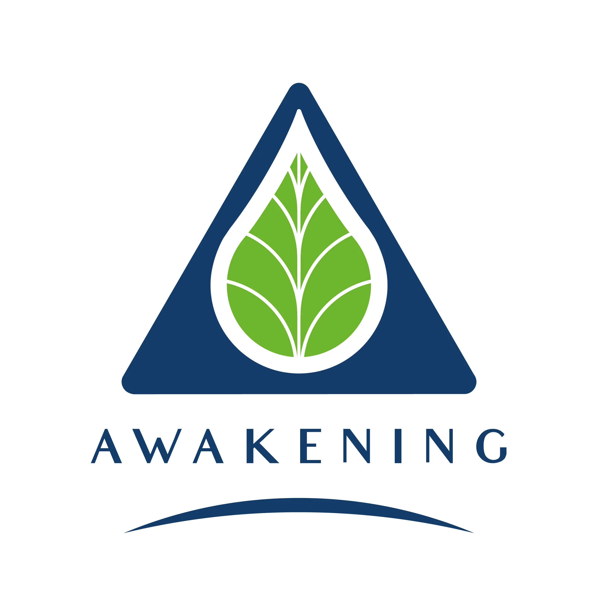 AWAKENING