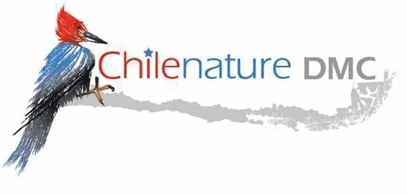 CHILENATURE DMC
