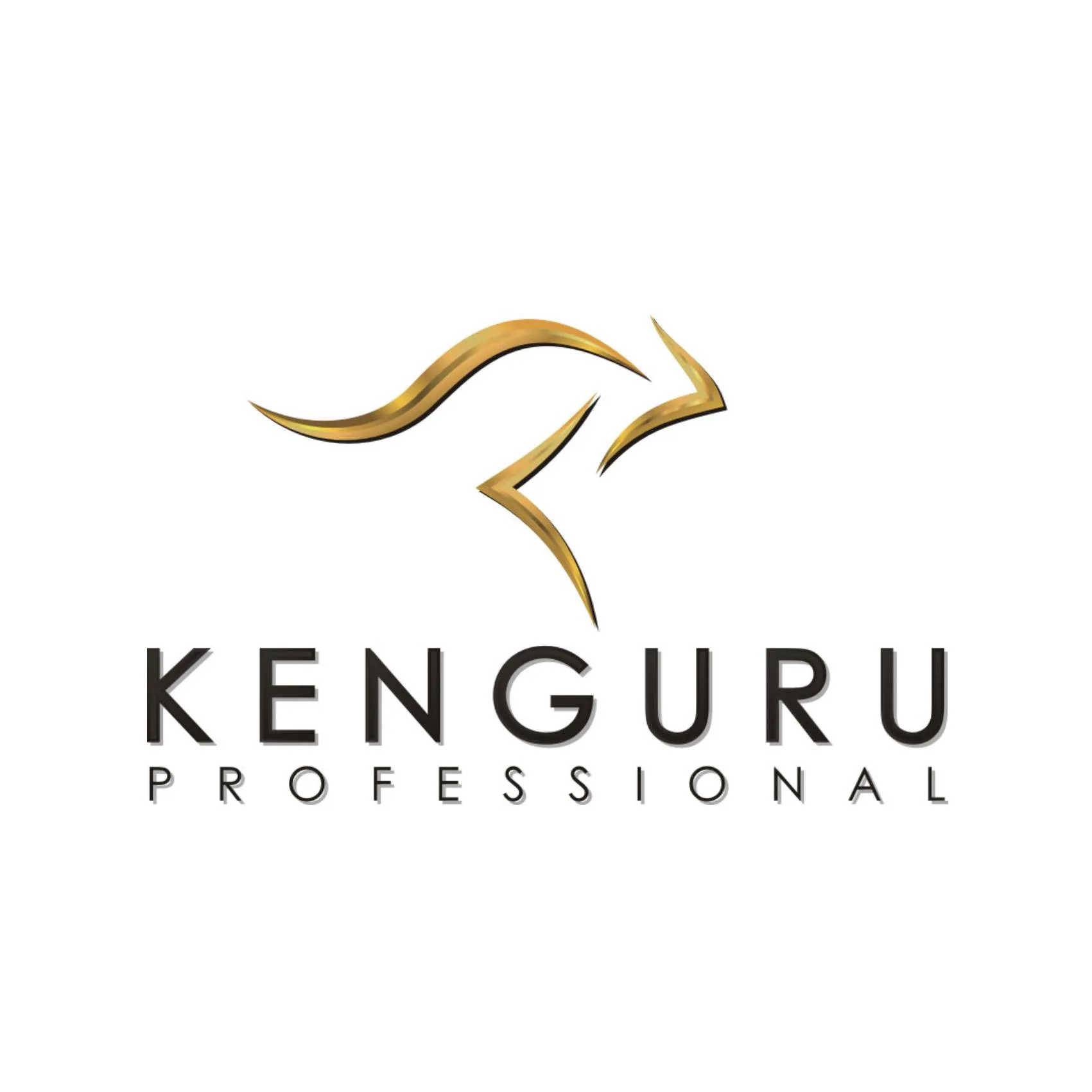 KENGURU PROFESSIONAL