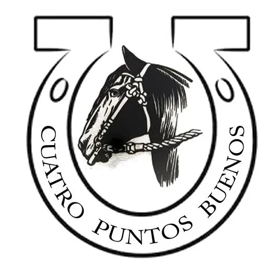 CUATRO PUNTOS BUENOS