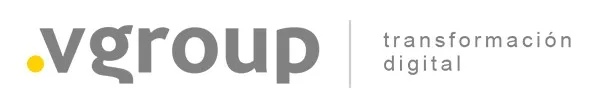 V Group