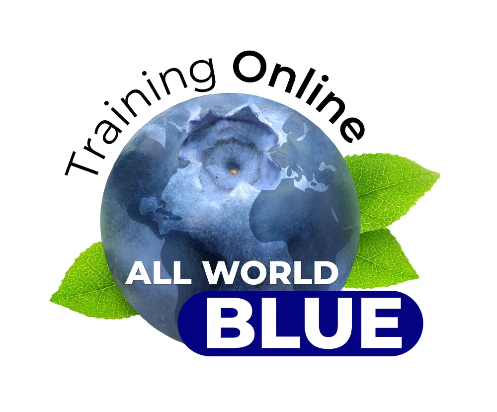 Training Online All World Blue