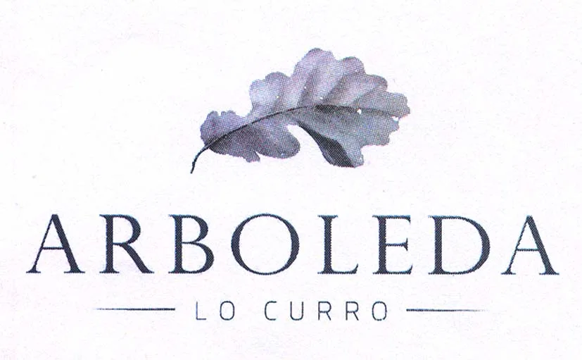 ARBOLEDA LO CURRO