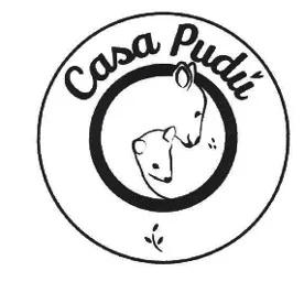 CASA PUDÚ