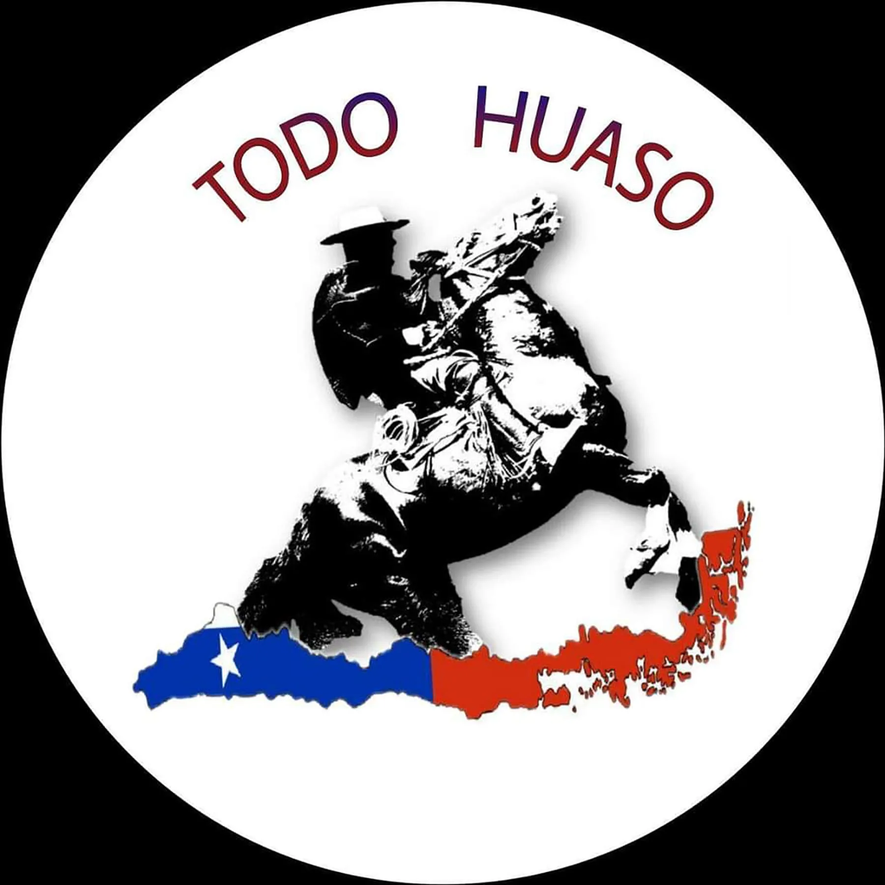 TODO HUASO