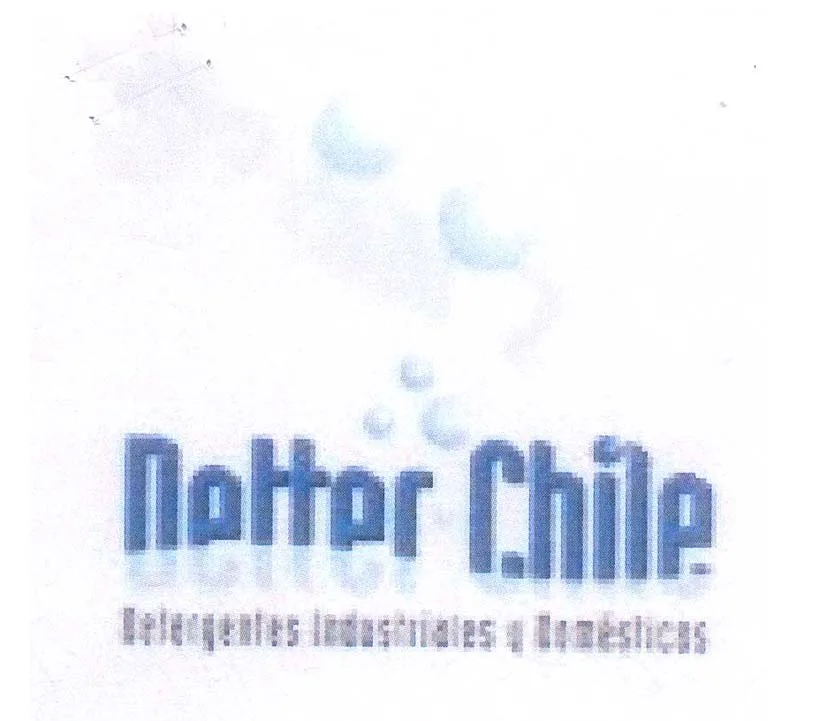 DETTER CHILE