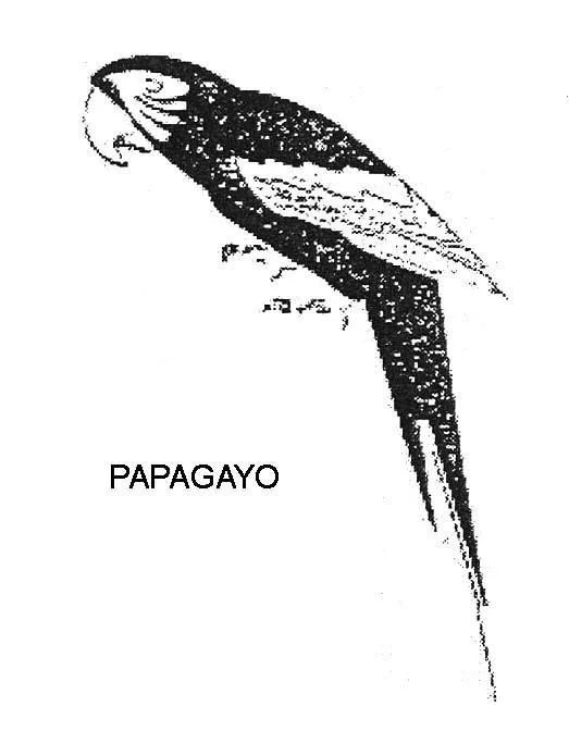 PAPAGAYO