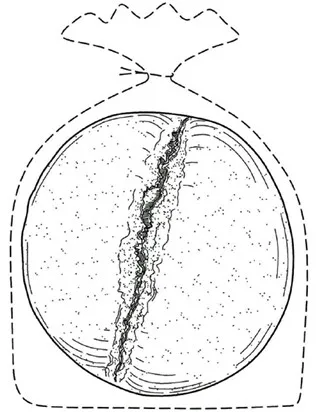 Acta 1341870