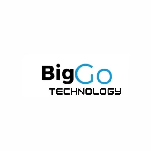 Big Go Technology