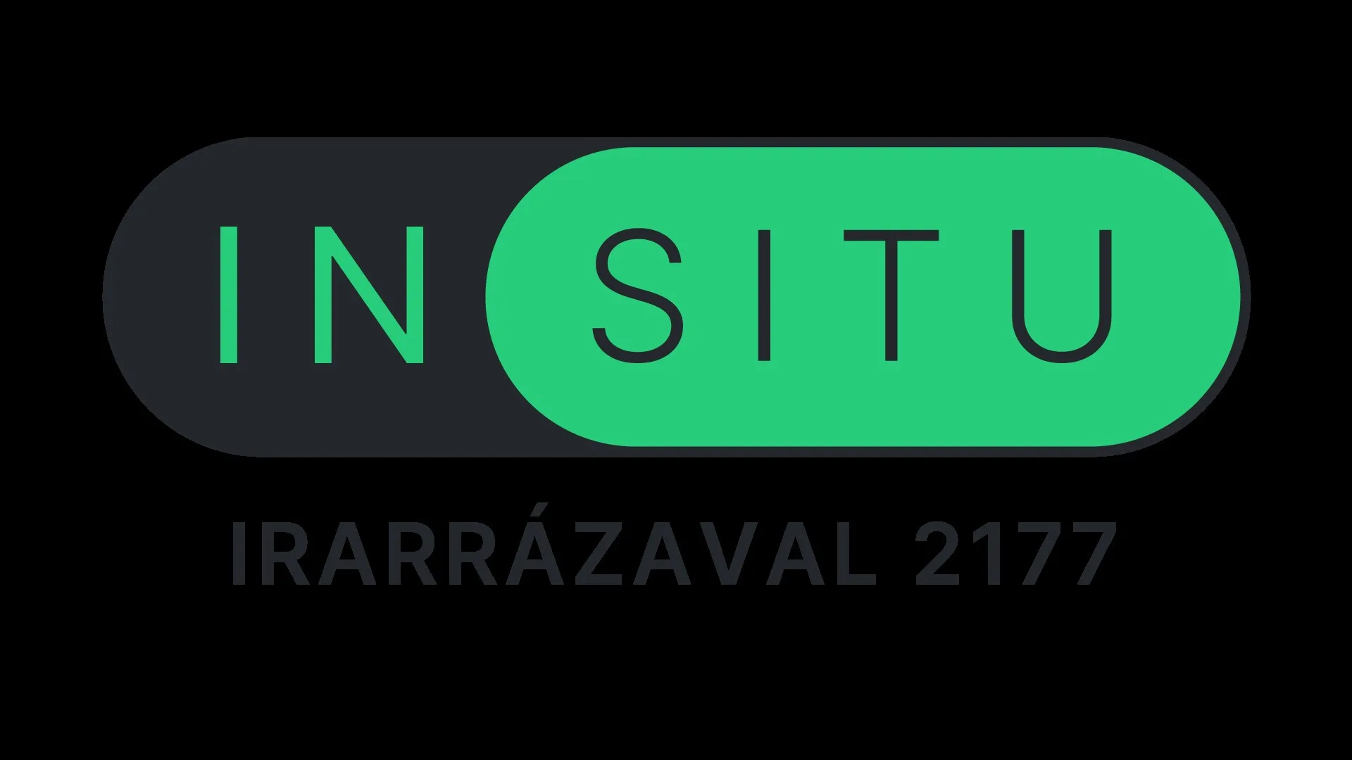 INSITU IRARRÁZAVAL 2177