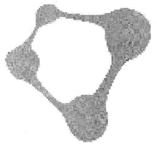 Acta 952870