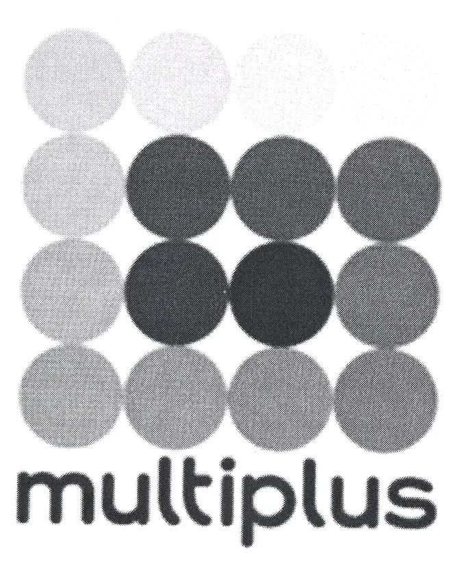 MULTIPLUS