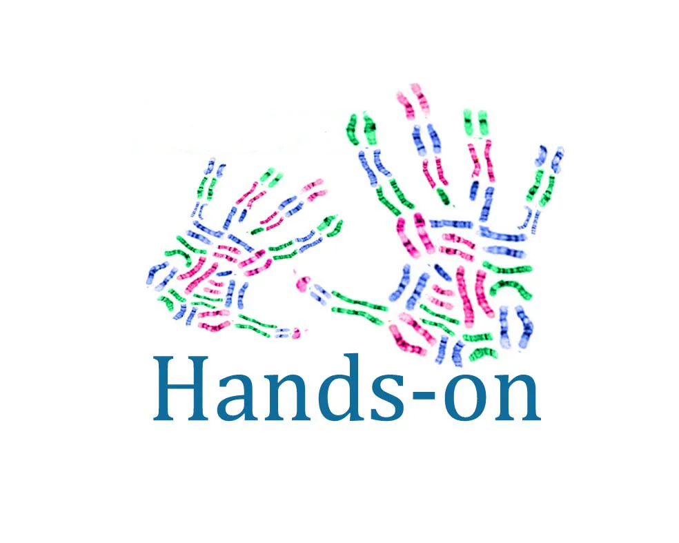 HANDS-ON