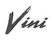 VINI