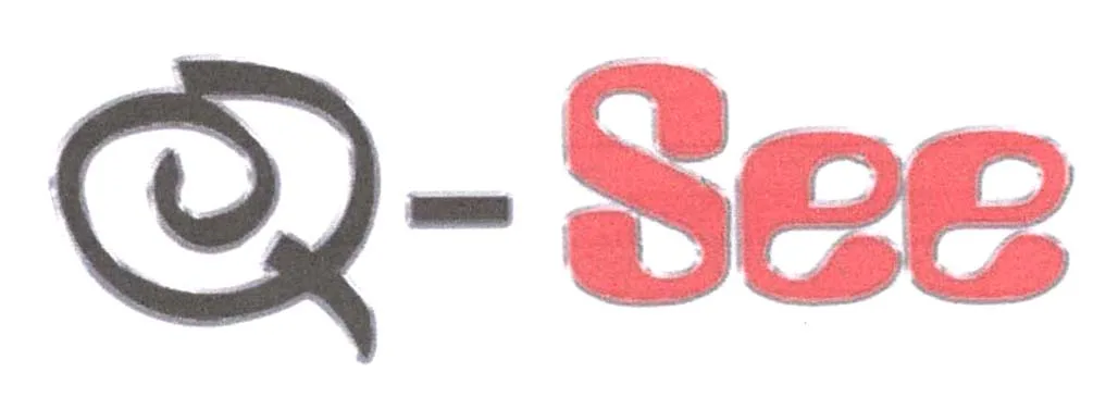 Q-SEE