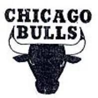 CHICAGO BULLS