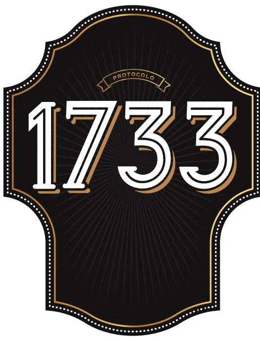 PROTOCOLO 1733