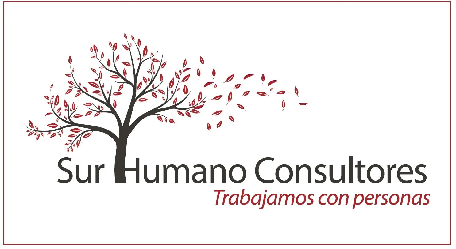 SUR HUMANO CONSULTORES TRABAJAMOS CON PERSONAS