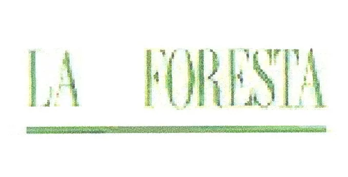 LA FORESTA