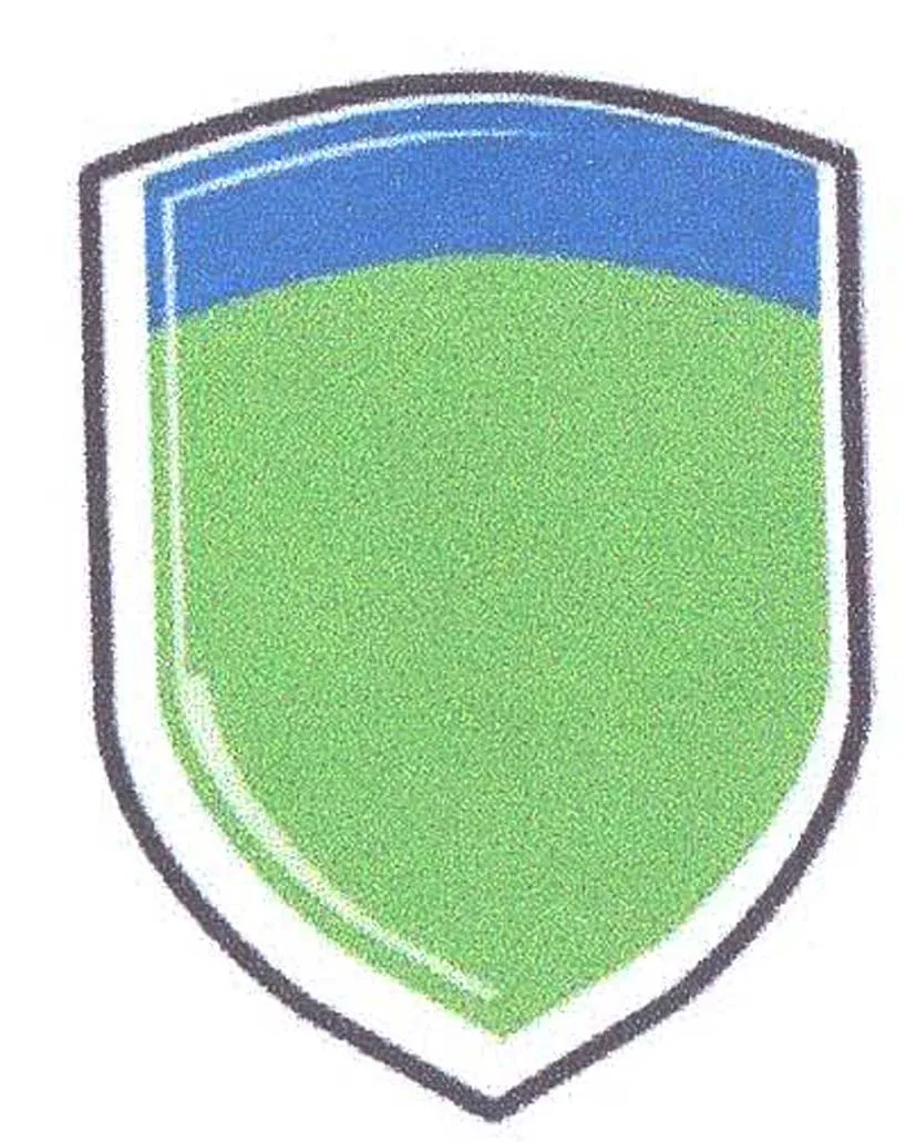 Acta 1137875