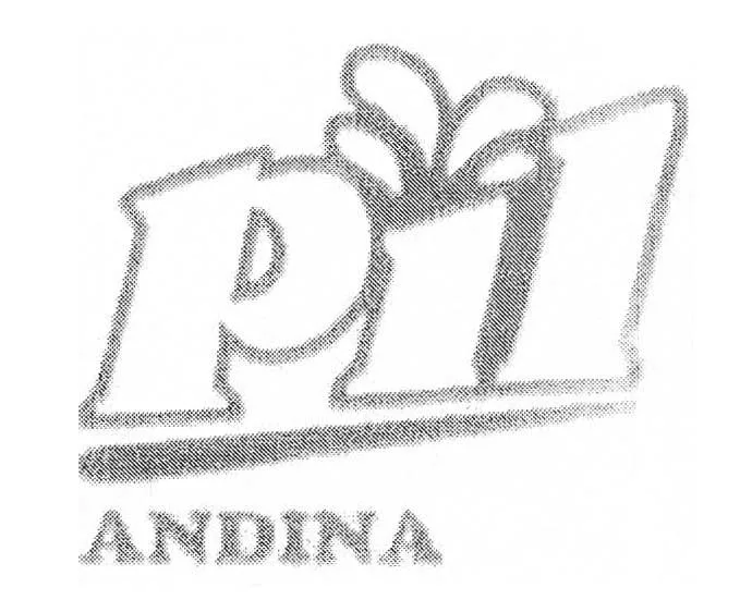 PIL ANDINA