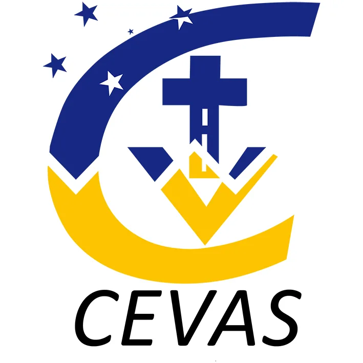 CV CEVAS