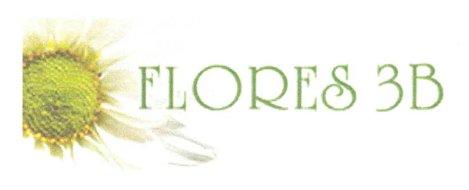 FLORES 3B