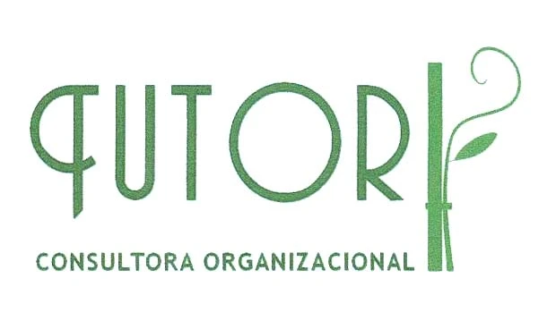 TUTOR CONSULTORA ORGANIZACIONAL