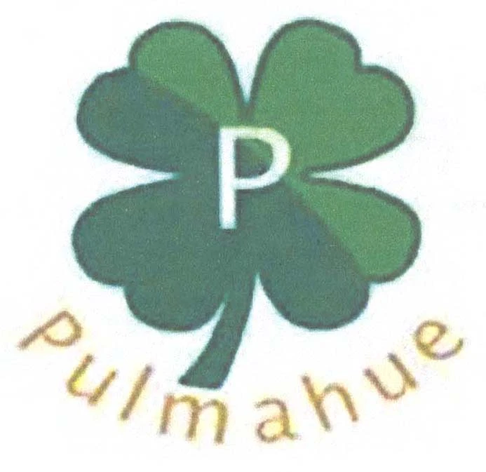 P PULMAHUE