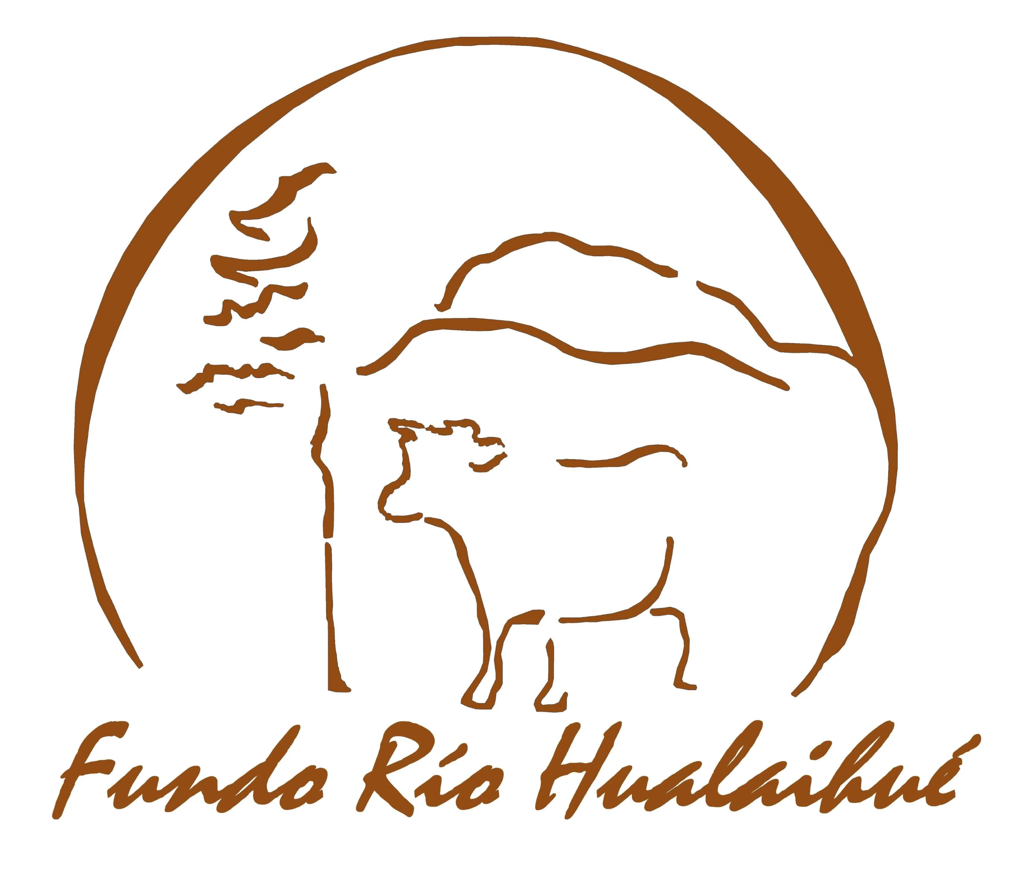 FUNDO RÍO HUALAIHUÉ