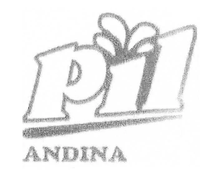 PIL ANDINA
